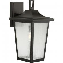 Progress P560309-020 - Padgett Collection One-Light Transitional Antique Bronze Clear Seeded Glass Outdoor Wall Lantern