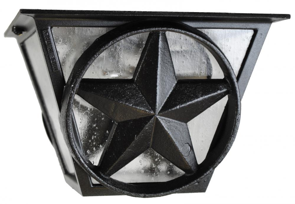 Americana Collection Lone Star Series Ceiling Mount Model LS53 Small Outdoor Wall Lan