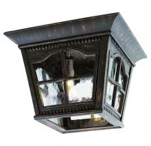 Trans Globe 5427 AR - Briarwood 3-Light Rustic, Chesapeake Embellished, Glass and Metal Open Base Outdoor Flush Ceiling La