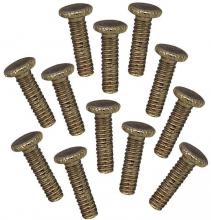 Westinghouse 7704100 - 12 Fitter Screws Antique Brass Finish