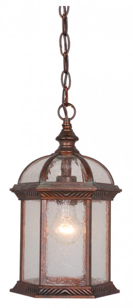 Chateau 8" Outdoor Pendant