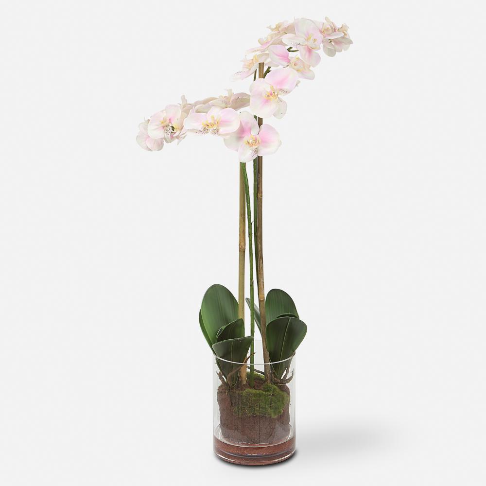 Uttermost Blush Orchid
