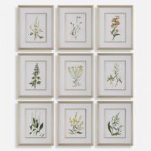 Uttermost 32339 - Uttermost Botanical Flowers Framed Prints Set/9