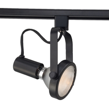 Eurofase Gold US TK-HGP30-01 - TRACKHEAD,PAR30,75W,BLACK