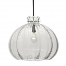 Besa Lighting 1TT-464588-BK - Besa Stem Pendant Pinta 12 Clear Black 1x100W Medium Base