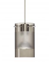 Besa Lighting RXP-6524ES-LED-SN-L - Besa Scope 4 Pendant Rxp Smoke/Frost Satin Nickel 1x5W LED MR16, 15Ft. Cord