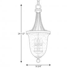 PROG_P3753dimensions_lineart.jpg