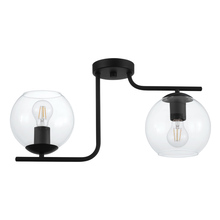 Eglo 204338A - 2 LT Ceiling Light with a Black Finish and Clear Glass Shades 2-40W E26 Bulbs