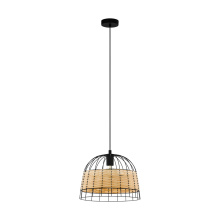 Eglo 43311A - 1L Pendant Light