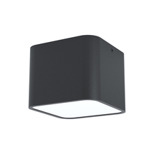 Eglo 99283A - 1L Flush Mount