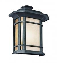 Trans Globe 5821-1 BK - San Miguel, Tea Stain Glass, Outdoor Pocket Lantern Wall Light