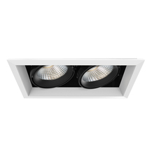 Eurofase TE132LED-40-2-02 - MULT,26W,TRM,2LT,40K,WHT/BLK