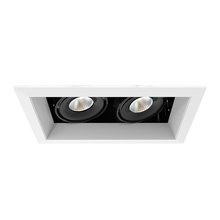 Eurofase TE162LED-40-2-02 - MULT,15W,TRM,2LT,40K,WHT/BLK