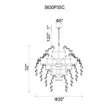 CWI-5630P35C-31.jpg