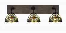 Toltec Company 1773-MBDW-9365 - Bathroom Lighting