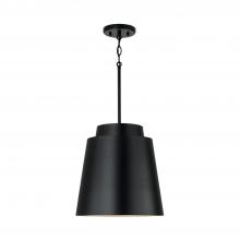 Capital AA1034MB - 1 Light Pendant
