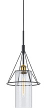 CAL Lighting FX-3653-1 - 60W Rexburgmetal Glass Mini Pendant (Edison Bulb Not Included)