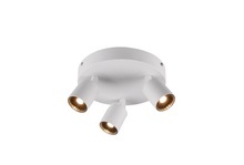 Arnsberg 829230301 - Cayman - Ceiling Mount