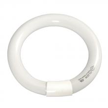 Galaxy Lighting FCL-40CW - Fluorescent Circular Tube