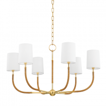 Hudson Valley 3534-AGB - Webson Chandelier