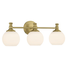 Millennium 201103-VB - Orlisse 23.5" Wide 3-Light Vanity