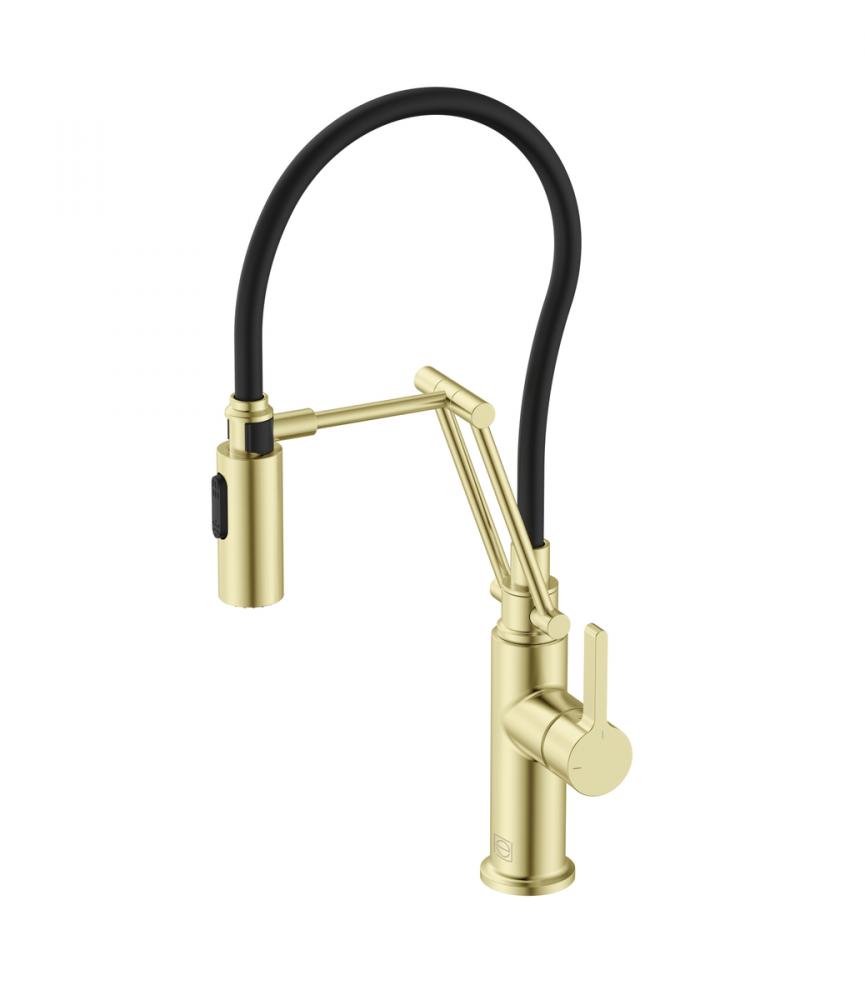 Leonardo Single Handle Pull Down Sprayer Kitchen Faucet in Brushed Gold