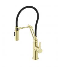 Elegant FAK-304BGD - Leonardo Single Handle Pull Down Sprayer Kitchen Faucet in Brushed Gold
