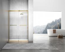 Elegant SD202-4876BGD - Frameless Shower Door 48x76 Brushed Gold