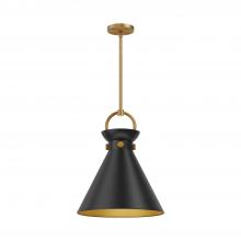 Alora Lighting PD412014AGMB - Emerson 14-in Aged Gold/Matte Black 1 Light Pendant