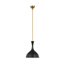 Visual Comfort & Co. Studio Collection AEP1011BBSMBK - Lucerne One Light Small Pendant