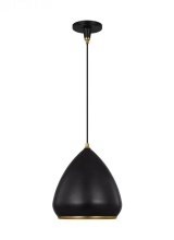 Visual Comfort & Co. Studio Collection TP1121AIBBS - Clasica Medium Pendant