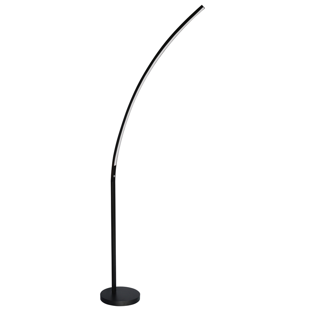 22W Floor Lamp Matte Black Finish