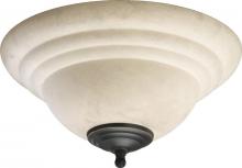 Quorum 1120-11D - Toasted Sienna/old World Fan Light Kit