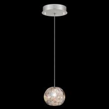 Fine Art Handcrafted Lighting 852240-106LD - Natural Inspirations 5.5" Round Drop Light